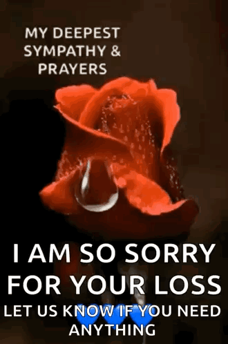 I Am So Sorry For Your Loss Let Us Know If You Need Anything . GIF