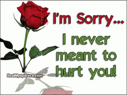 I Am Sorry Never Meant To Hurt You GIF