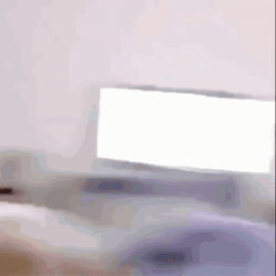I Am Speed Dog Back And Forth GIF