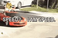I Am Speed Doge Face GIF