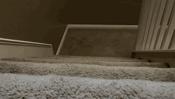 I Am Speed Fast Animal GIF