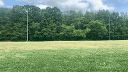 I Am Speed Running Through The Fields GIF
