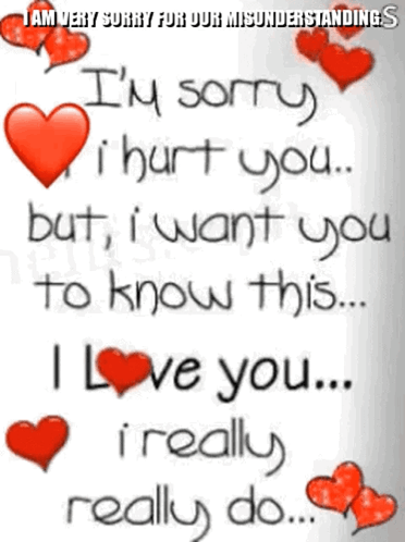 Man Saying Sorry For Misunderstandings GIF