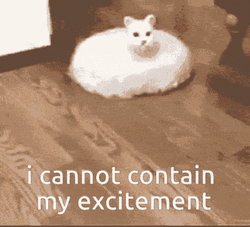 I Cannot Contain My Excitement GIF