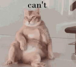 I Cant Frustrated Chubby Ginger Cat GIF
