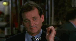 I Concur Bill Murray Oui GIF