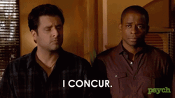 I Concur James Roday Rodriguez Psych GIF