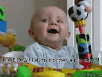 I Didn't Order Monday Monday GIF