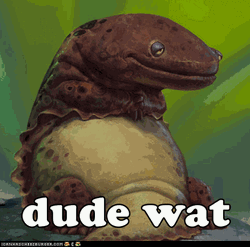 I Don't Get It Dude Wat GIF