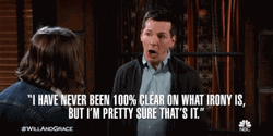 I Don't Know What Irony Is GIF