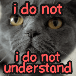 I Don't Understand What I Do GIF