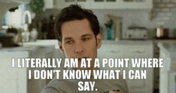 I Dont Know What I Can Say Paul Rudd GIF