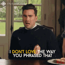I Dont Love The Way You Phrased That David Rose GIF