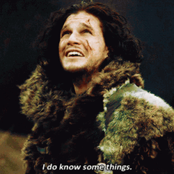 I Drink And I Know Things Jon Snow GIF