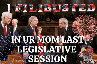 I Filibustered In Ur Mom's Last Legislative Session GIF