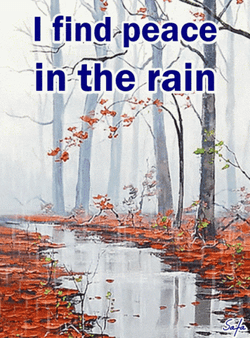 I Find Peace In The Rainy Monday GIF