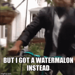 I Got Watermelon Instead GIF