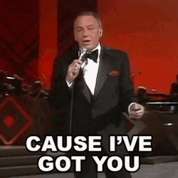 I Got You Song Lyrics Frank Sinatra GIF