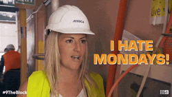 I Hate Monday Work Meme GIF