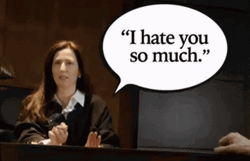 I Hate You Lawyer Judge GIF