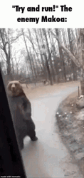 I Have No Enemies But The Big Bear GIF