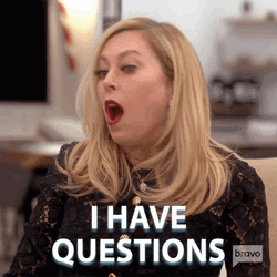 I Have Questions Real Housewives GIF
