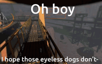 I Hope Oh Boy Video Game  GIF