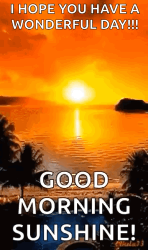 I Hope You Have A Wonderful Day !! Good Morning Sunshine ! GIF