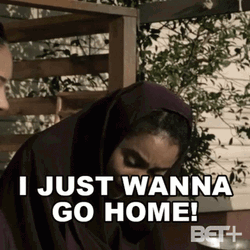 I Just Wanna Go Home Zane GIF