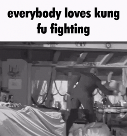 I Know Everybody Loves Kung Fu GIF