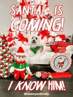 I Know Him Santa Is Coming GIF