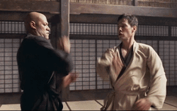 I Know Kung Fu Attack Hit GIF