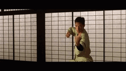 I Know Kung Fu Attack GIF