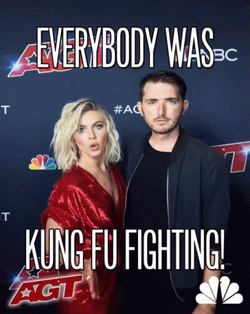 I Know Kung Fu Fighting GIF