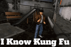 I Know Kung Fu Man Stop GIF