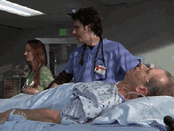 I Like It Getting Cute Cats While Hospitalized GIF