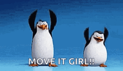 I Like To Move It Move It Girl Madagascar Penguin GIF