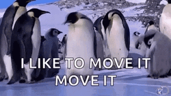 I Like To Move It Move It Penguin Slipping GIF