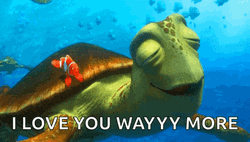 I Like Turtles Finding Nemo GIF