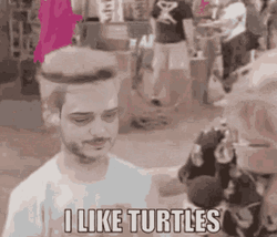I Like Turtles Kid GIF
