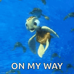 I Like Turtles On My Way GIF