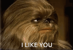 I Like You Chewbacca Dog GIF