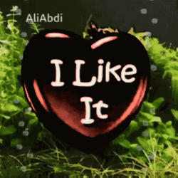 I Like You Heart I Like It GIF