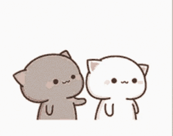 I Like You Kiss Peach Cat  GIF