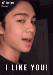 I Like You Tiktok Lipsync GIF