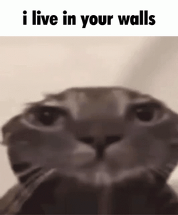 I Live In Your Walls GIF