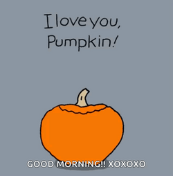 I'll Be Your Pumpkin You'll Be My Spice GIF