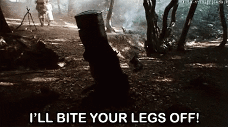 I'll Bite Your Single Leg Deadlift Off GIF