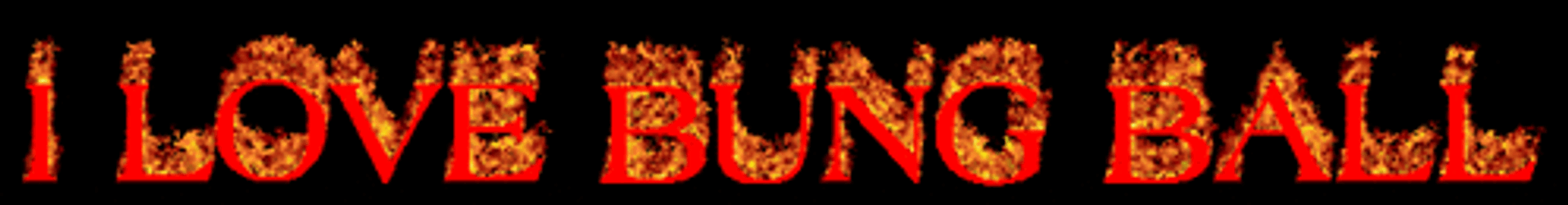 I Love Bung Ball I Love You GIF
