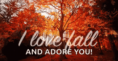 I Love Fall And Adore You Sign GIF